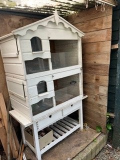 Caviaflat te koop Tegen elk aannemelijk bod, Ophalen, Gebruikt, 90 cm of meer, Hok