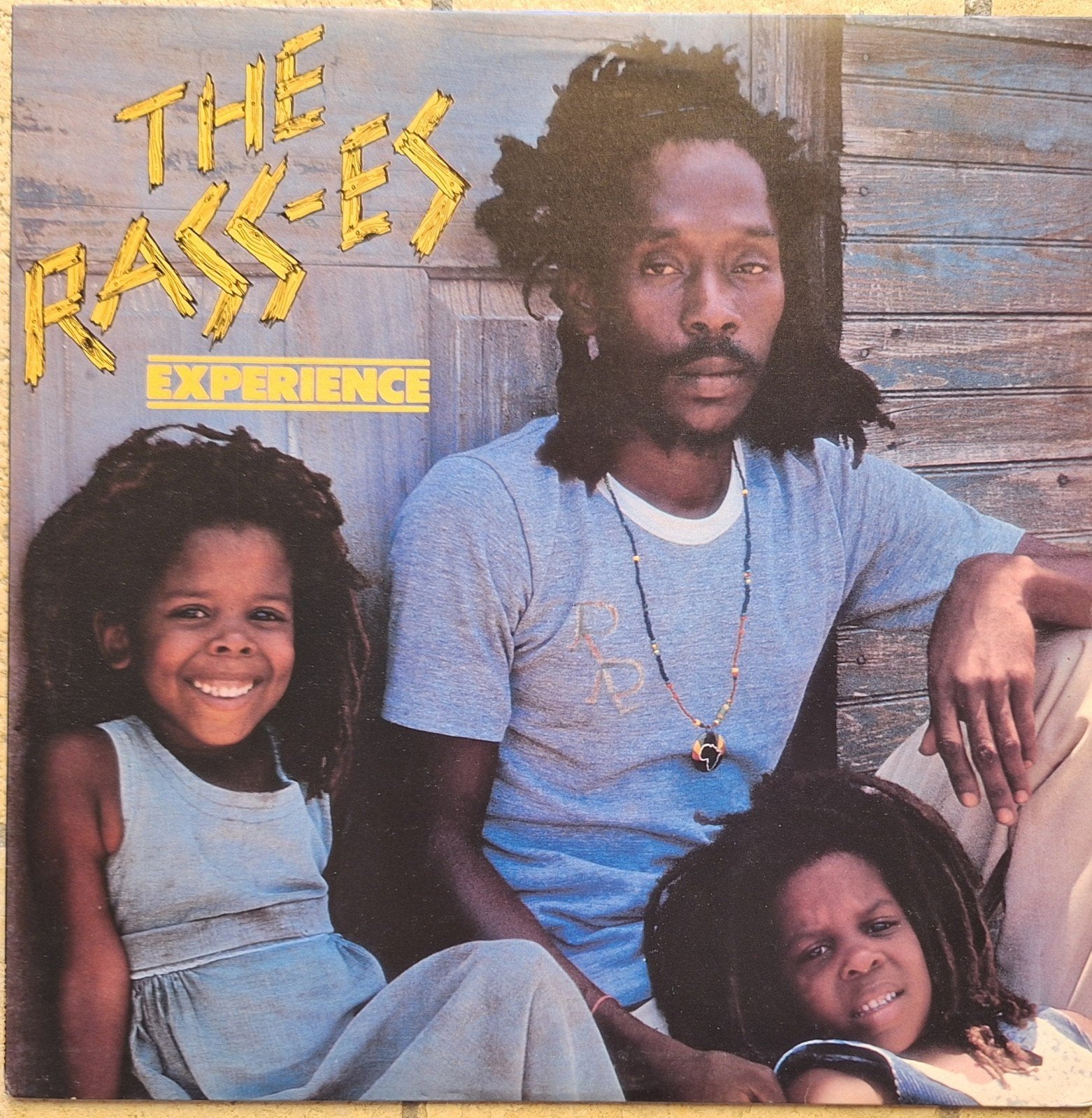 The Rasses - Experience (1979 Reggae LP), LP, Gebruikt, Ophalen of Verzenden, Inclusief binnenhoes