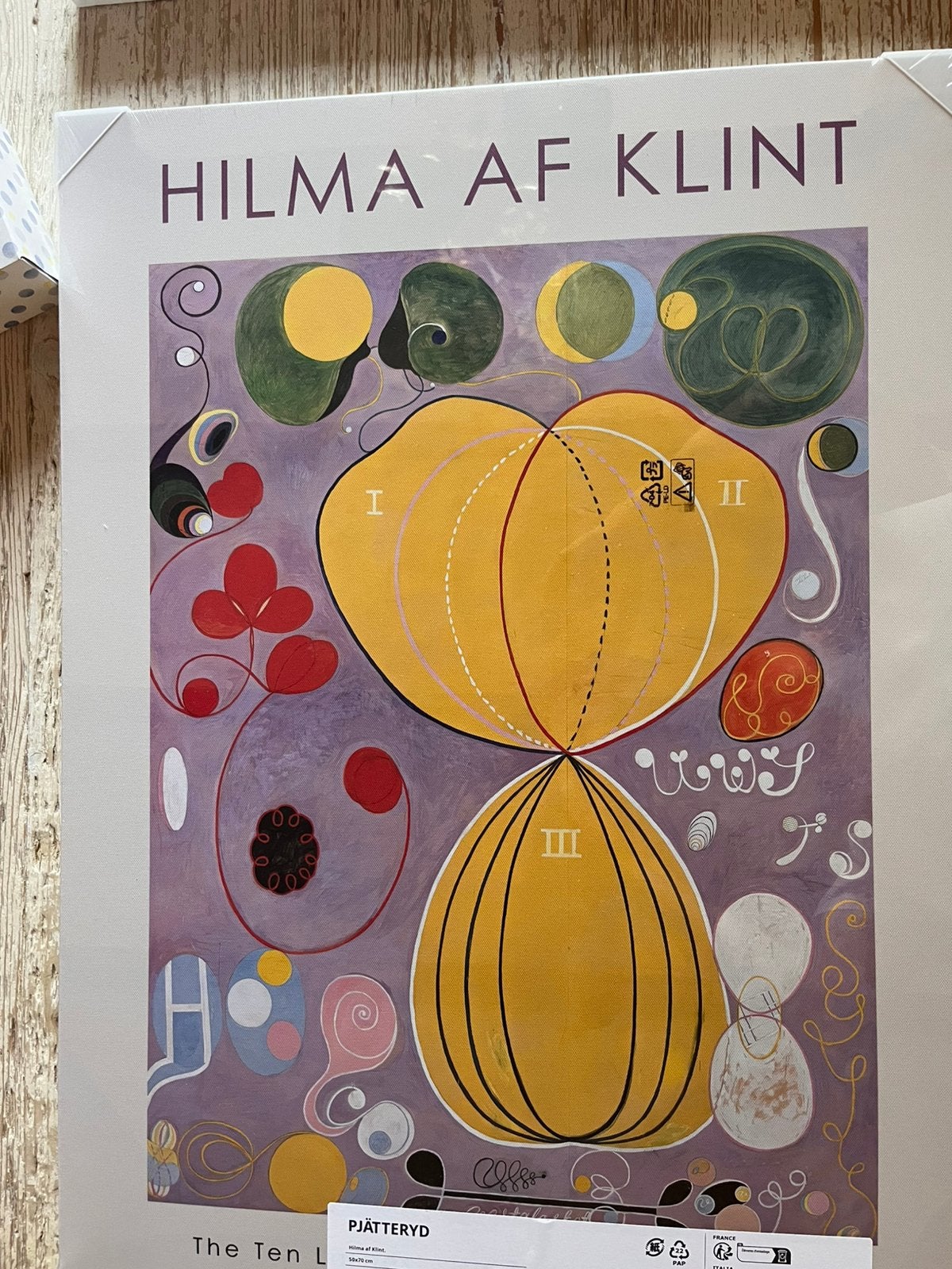 Canvas van ikea Hilma AF Klint, Ophalen