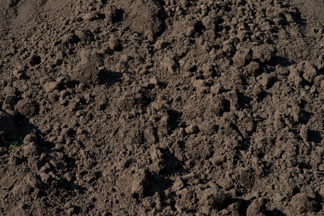 Zwarte grond / Bemeste tuinaarde, Ophalen of Verzenden, Overige typen