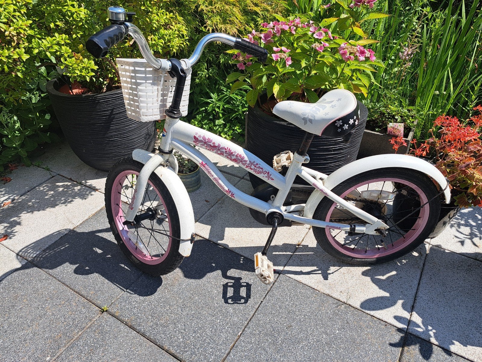 Leuk meisjes fiets miss  Cruise, Fietsen en Brommers, Fietsen | Meisjes, Ophalen, Terugtraprem, Gebruikt, Miss cruise popal