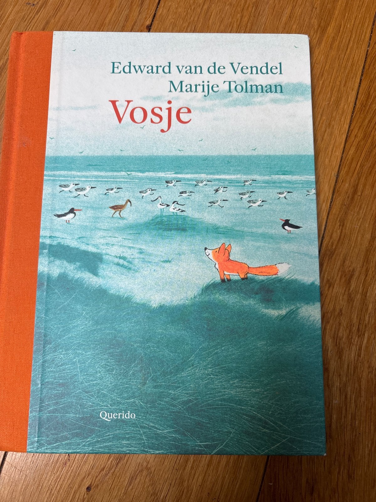 Vosje - Edward van de Vendel & Marije Tolman, Fictie algemeen, Jongen of Meisje, Ophalen of Verzenden, Zo goed als nieuw