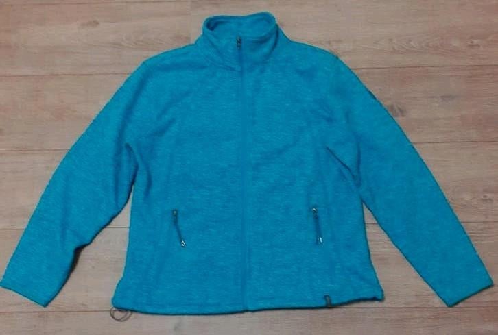 fleece vest foto1,2,3 mt 46zwart/wit,grijze hes/vest mt 44 , Ophalen of Verzenden, Gedragen, Maat 46/48 (XL) of groter, Overige kleuren