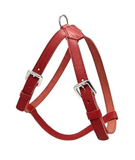ALOKÉ Harnas / Hondentuig Leder L Borst 78-82 cm Rood -35%!, Ophalen of Verzenden, Nieuw, Hondentuig