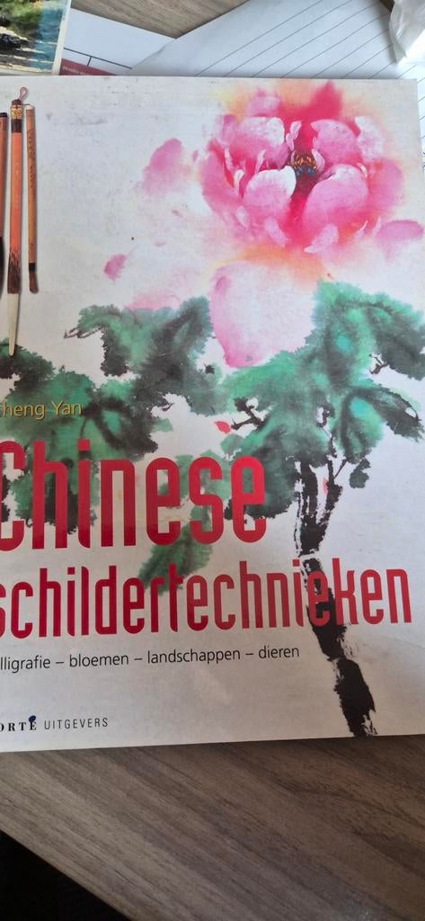 Cheng Yan - Chinese schildertechnieken, Ophalen of Verzenden, Zo goed als nieuw, Tekenen en Schilderen, Cheng Yan