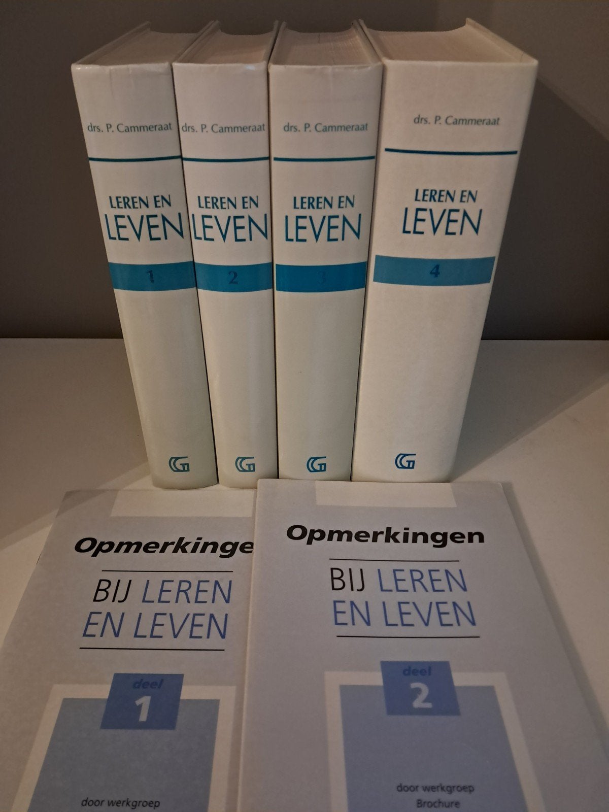 Leren en leven set (drs. P. Cammeraat), Ophalen of Verzenden, Zo goed als nieuw, Cammeraat, Christendom | Protestants