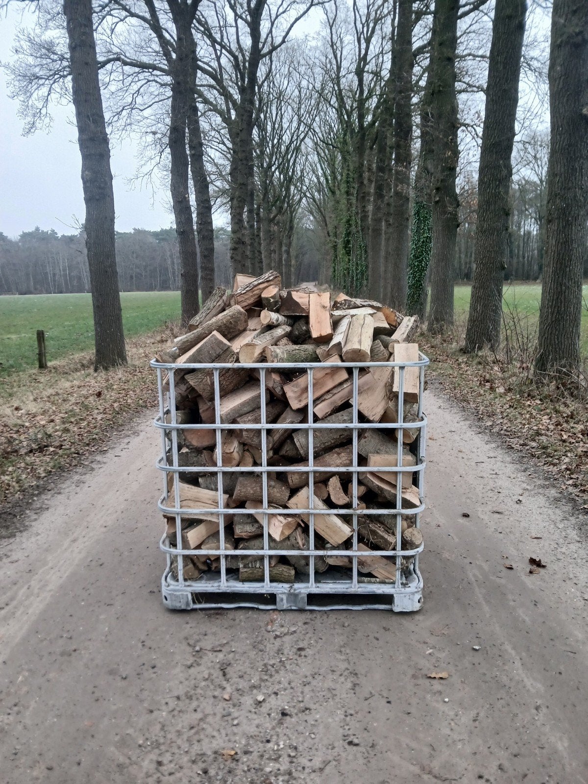 eiken gemengd met berk gedroogd 140€per kuub, Ophalen