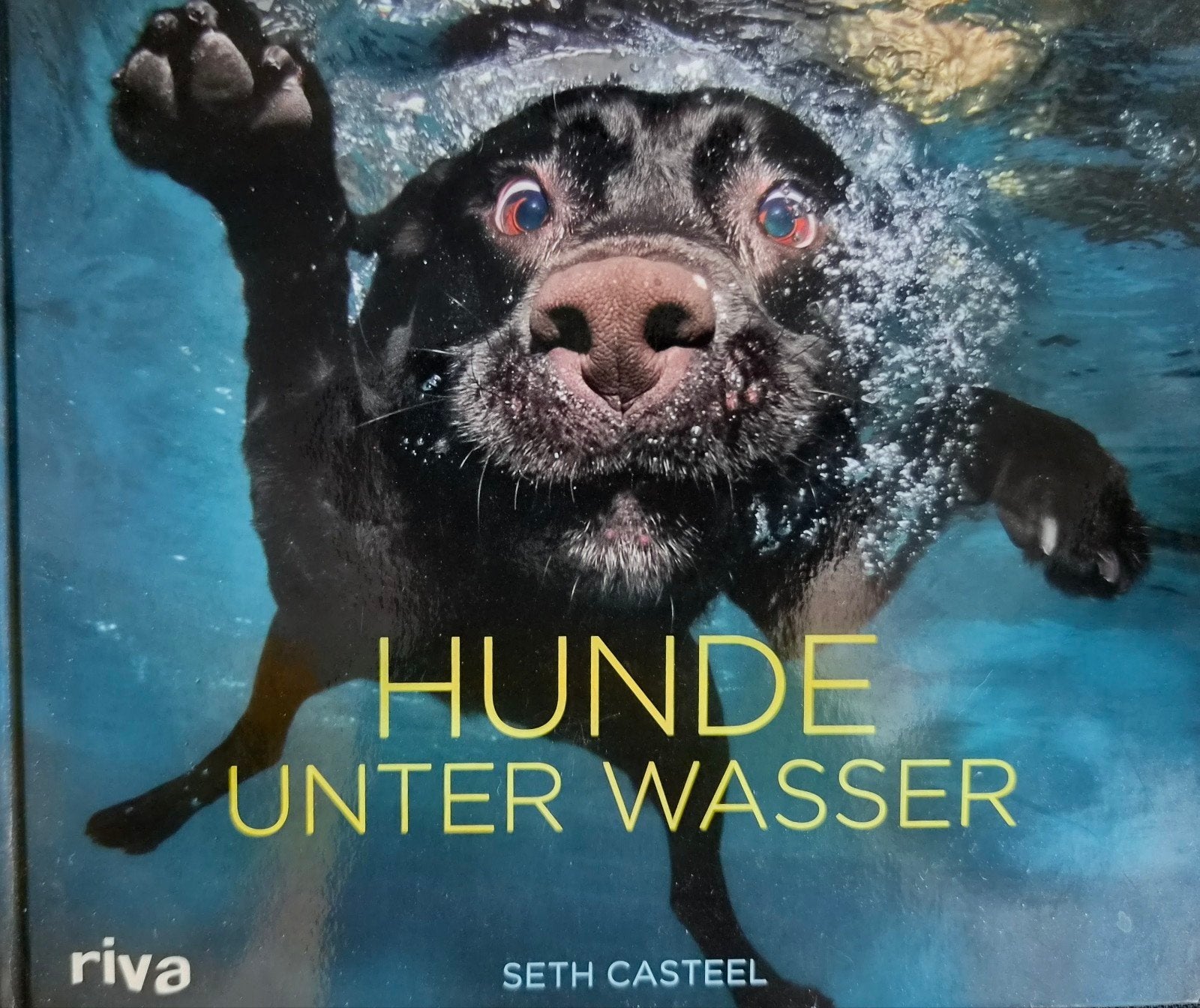 Hunde Unter Wasser - Seth Casteel (Boek), Boeken, Ophalen of Verzenden, Zo goed als nieuw, Honden, Seth Casteel