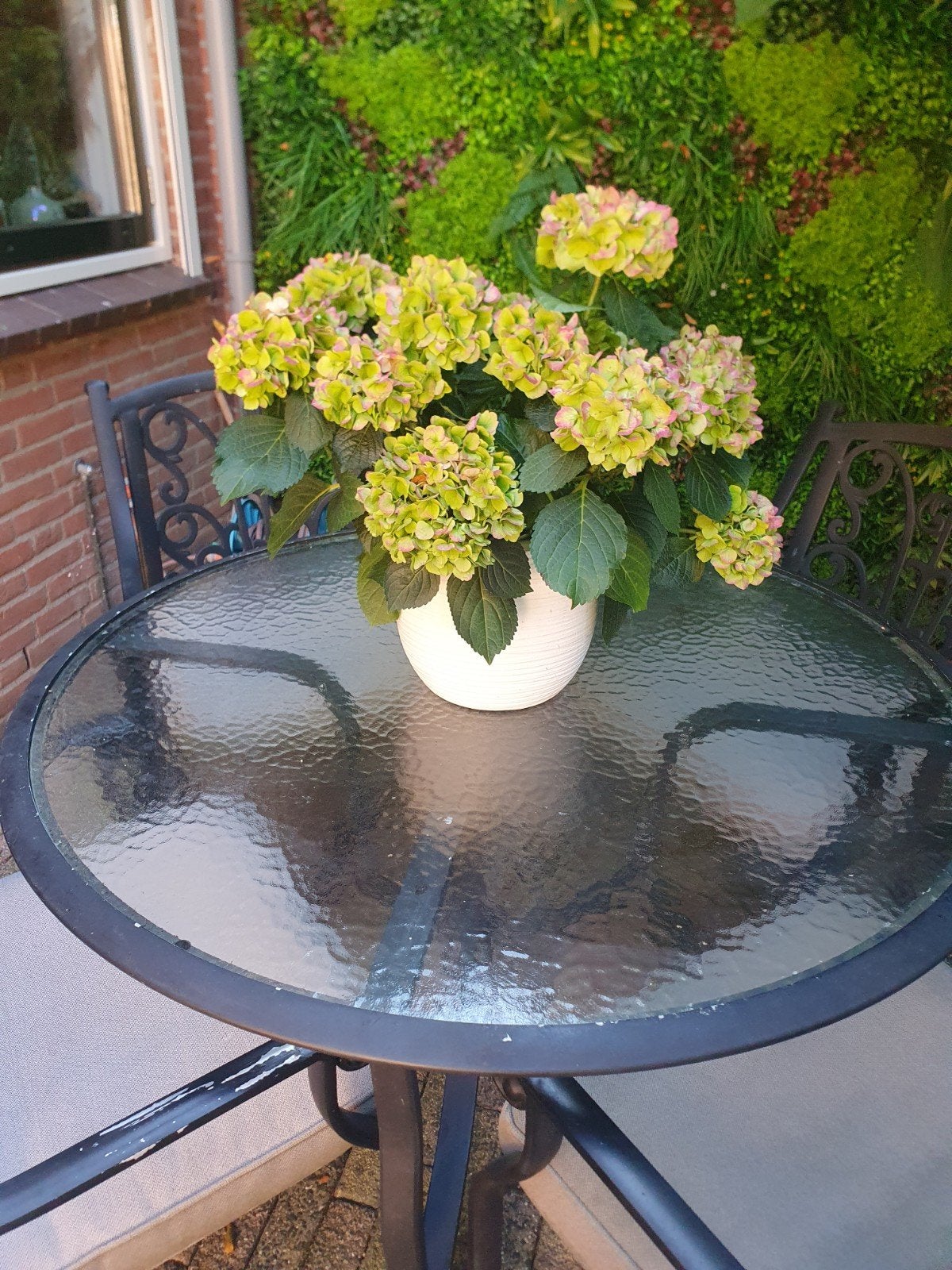leuke tuintafel met 4 stoellen en kussens, Tuin en Terras, Ophalen, Gebruikt, Rond, Aluminium