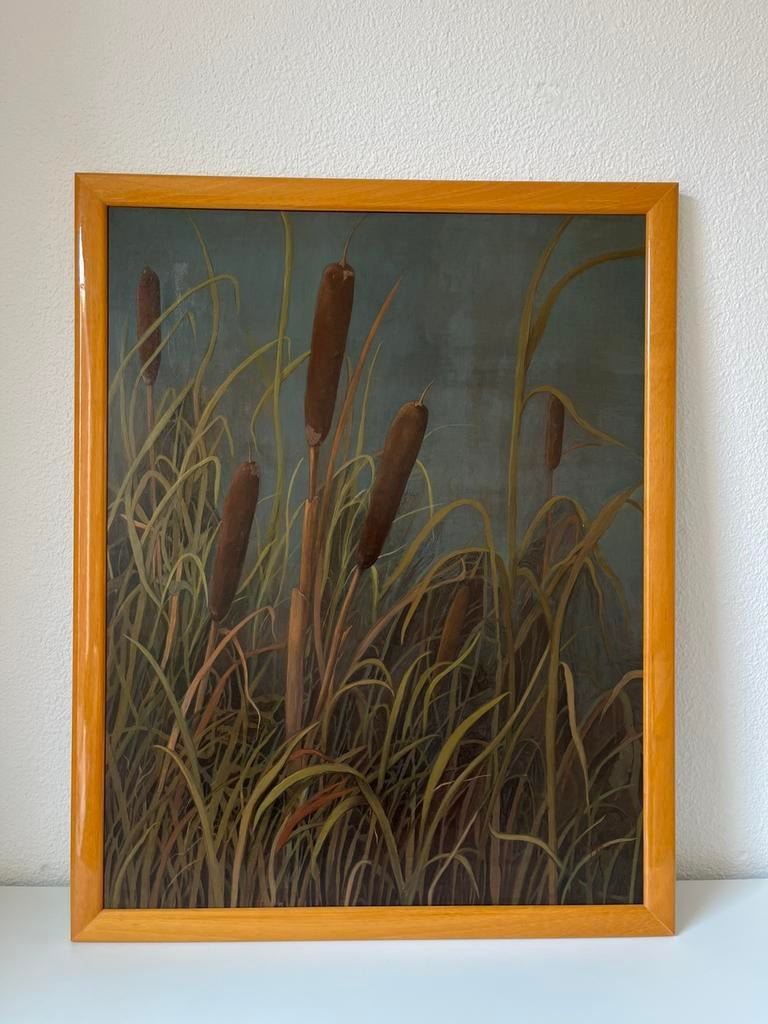 Lisdodde, Antiek en Kunst, Kunst | Schilderijen | Klassiek, Ophalen