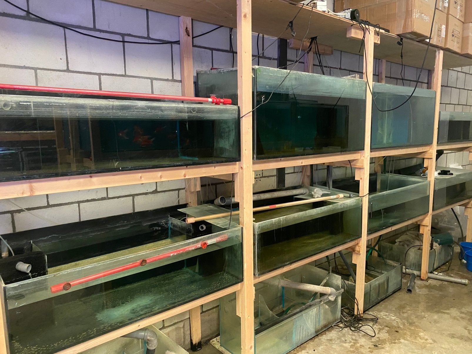 Complete  aqurium steling, Ophalen, Gebruikt, Overige merken, Inclusief slangen