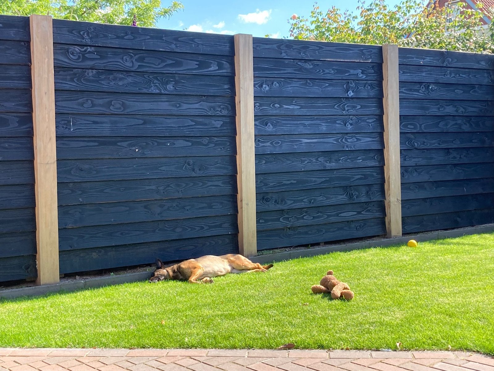 40 stuks Schutting platen hout, Ophalen, 1 tot 2 meter, Minder dan 3 meter, Zo goed als nieuw