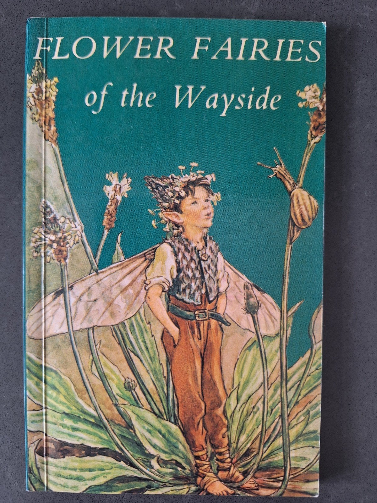 Flower Fairies of the Wayside - Cicely Mary Barker, Ophalen of Verzenden, Gelezen