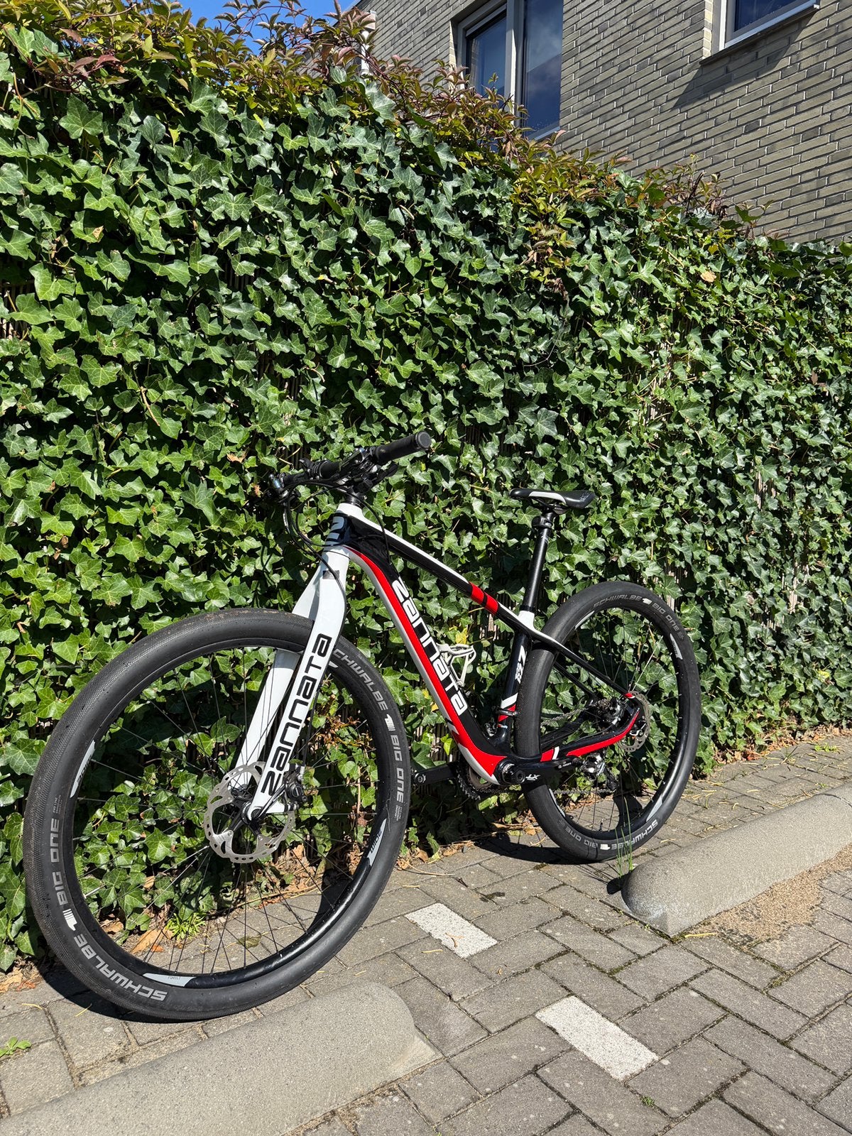 Zannata 29” mountainbike beach racer carbon, Ophalen, Zo goed als nieuw, Overige merken