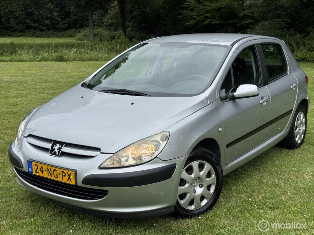 Peugeot 307 1.6, Auto's, Peugeot, Bedrijf, Te koop, ABS, Airbags, Airconditioning, Alarm, Boordcomputer, Centrale vergrendeling