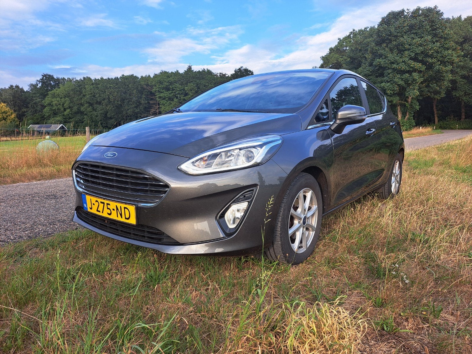 Mooie Ford Fiesta Titanium 1.0 95 pk  NL auto 2020 114dkm!!, Voorwielaandrijving, Stof, 1064 kg, 49 €/maand