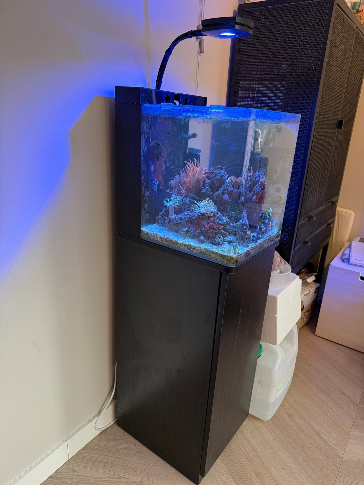 Blue Marine Reef 60 zeeaquarium – compleet en veel techniek!, Dieren en Toebehoren, Ophalen, Gebruikt