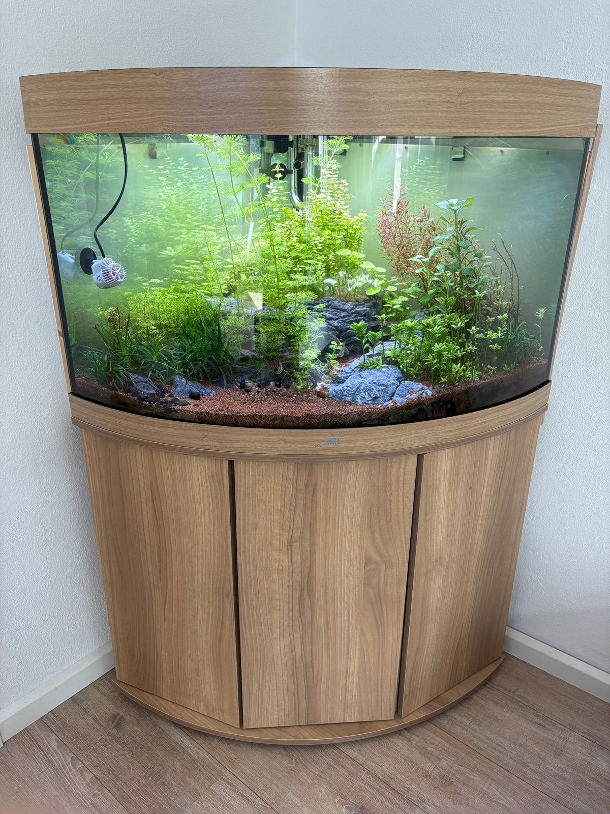 Juwel Trigon 190 Eiken met alle toebehoren, Dieren en Toebehoren, Ophalen, Juwel, Inclusief toebehoren, Gevuld zoetwateraquarium