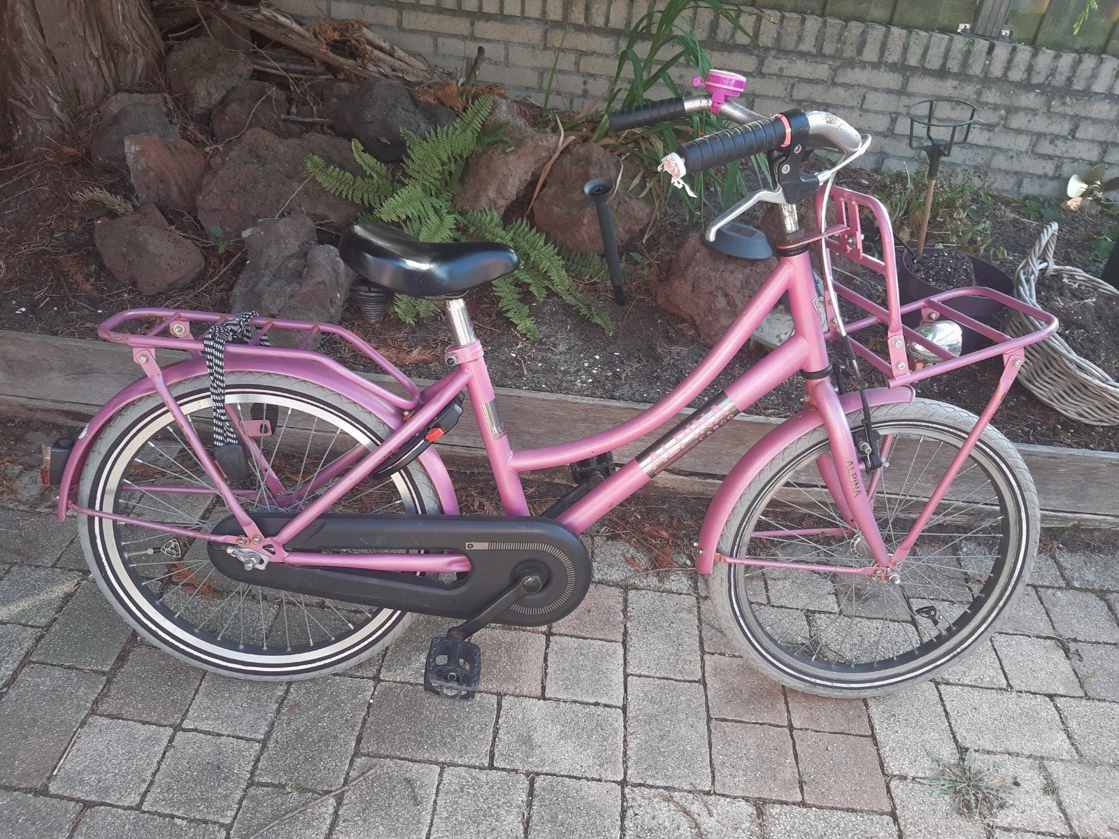 Alpina Cargo 20 inch meisjesfiets - Roze, Fietsen en Brommers, Fietsen | Meisjes, Ophalen, Gebruikt, 20 inch, Alpina