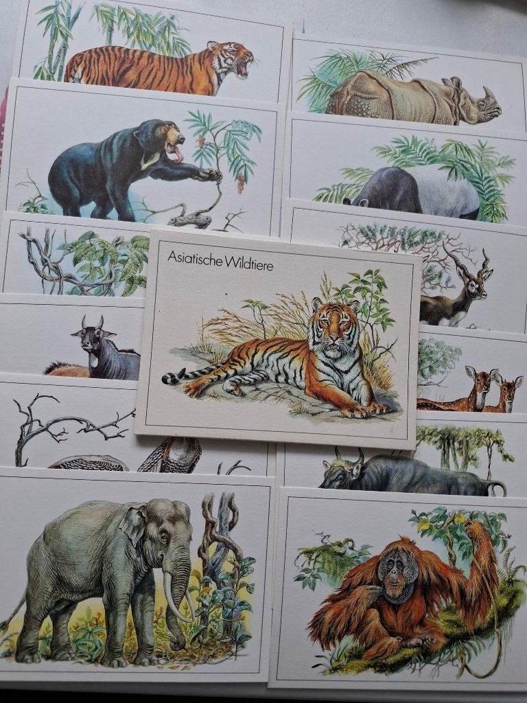 Zoo, Verzamelen, Ophalen of Verzenden, 1980 tot heden, Ongelopen, Wild dier