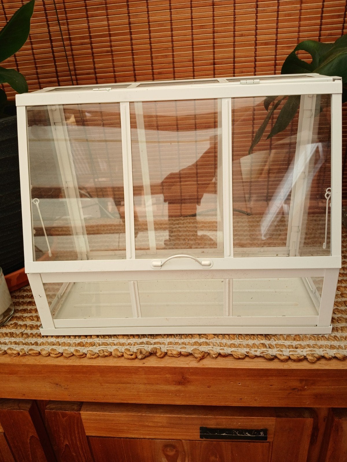 ikea plantenkasje, Tuin en Terras, Ophalen of Verzenden, Gebruikt, Kweekkast