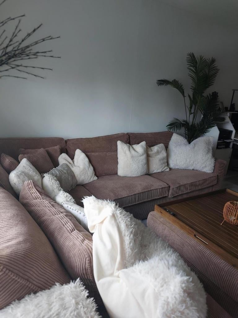 WONINGRUIL AANGEBODEN: ZUID-LIMBUR)  R0TTERDAM / OMGEVING, Ophalen of Verzenden, Overige typen
