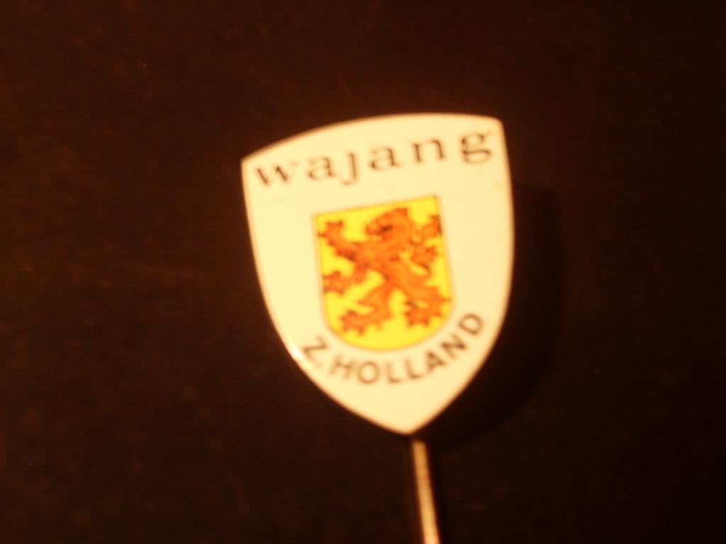 Speldje van WAJANG Zuid Holland, Verzamelen, Speldjes, Pins en Buttons, Verzenden, Zo goed als nieuw, Merk, Speldje of Pin