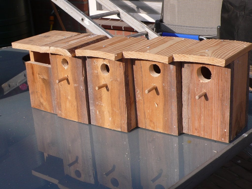 vogelhuisjes voor 5 vershillende vogels, Ophalen of Verzenden, Nieuw