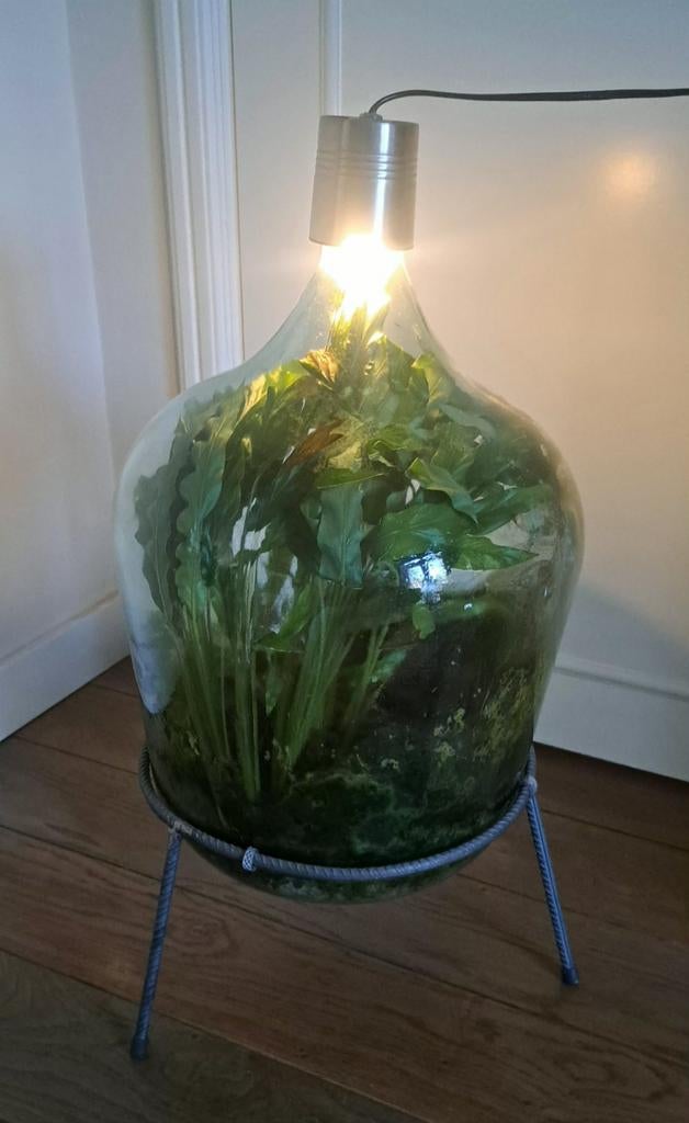 Leuke flessentuin met verlichting, Ophalen, Halfschaduw, Minder dan 100 cm