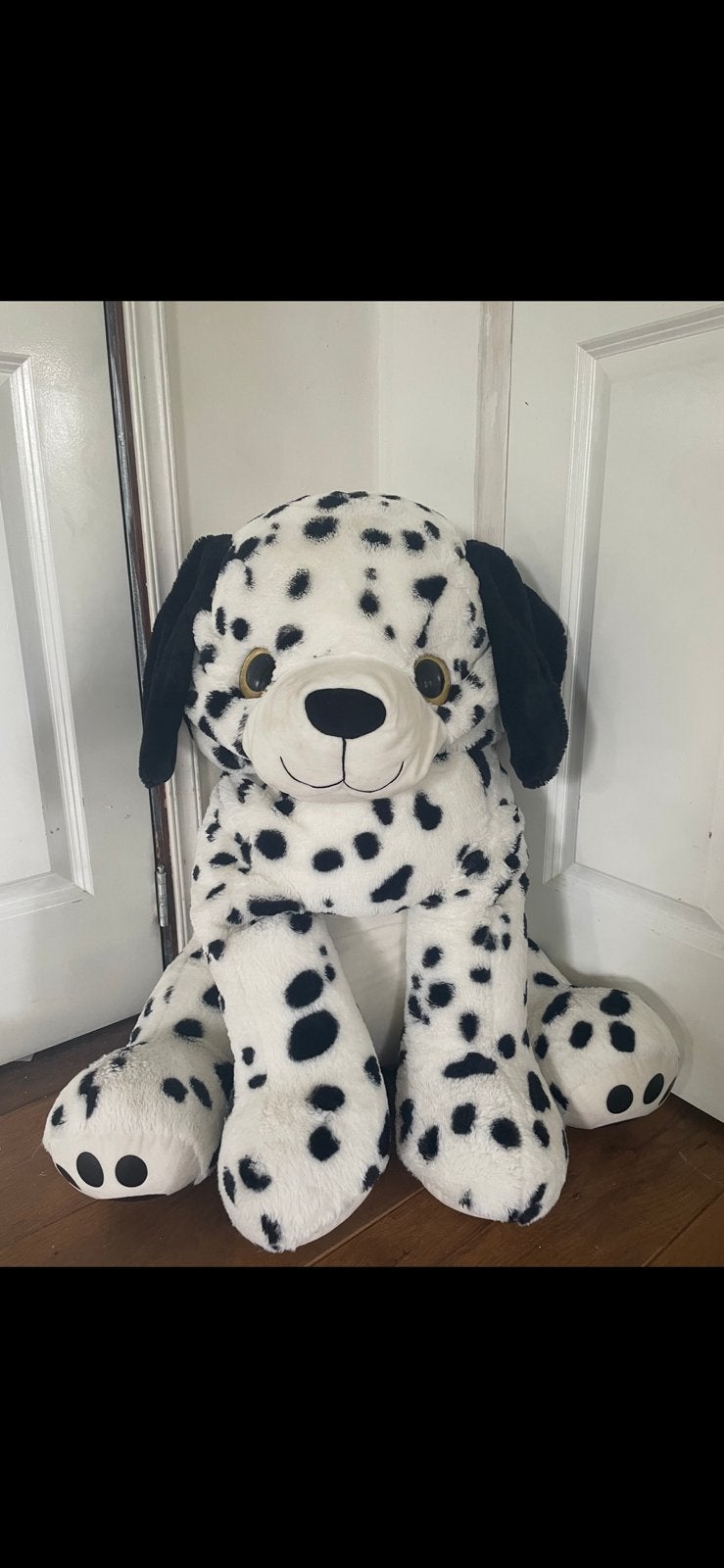 Dalmatier voor Reny, Verzenden, Zo goed als nieuw, Overige typen