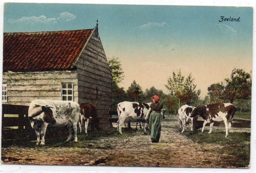 Zeeland, Verzenden, Voor 1920, Gelopen, Zeeland