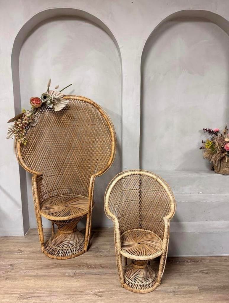 Vintage Pauwstoel voor volwassenen en kind, Ophalen, Gebruikt, Twee, Bruin
