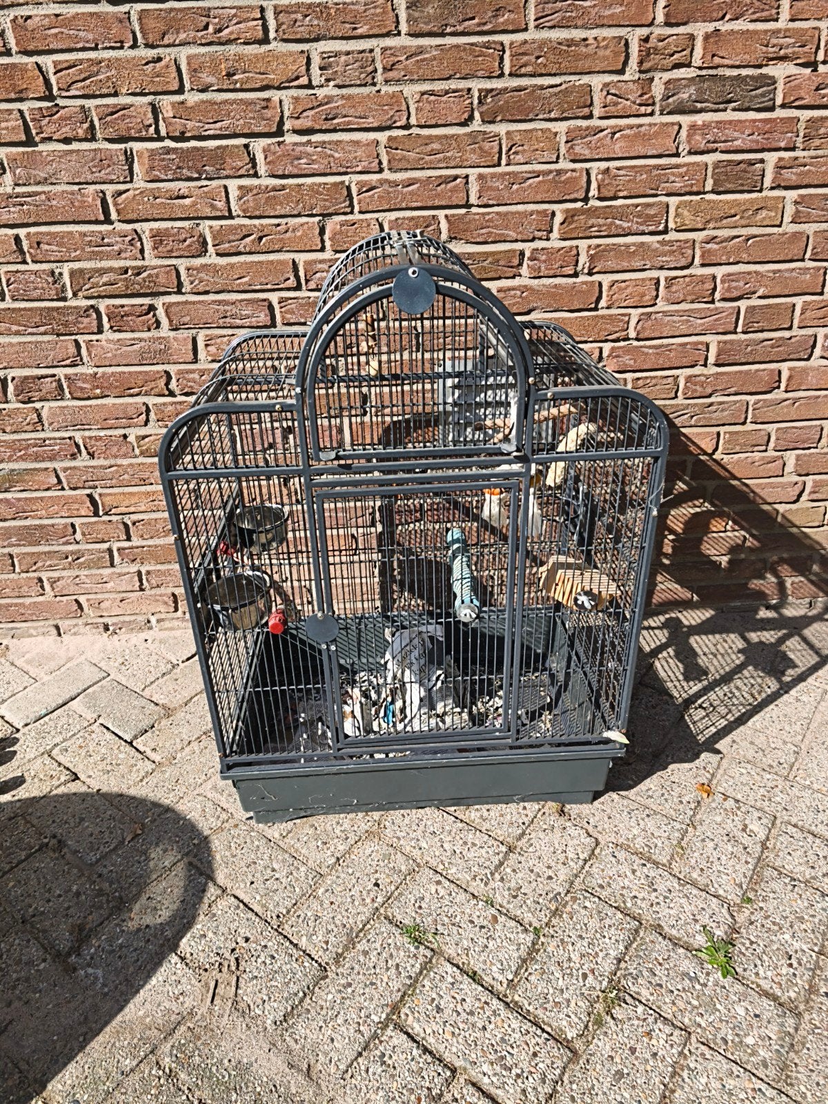 papagaai kooi papagaaienkooi, Dieren en Toebehoren, Ophalen, Metaal, Vogelkooi