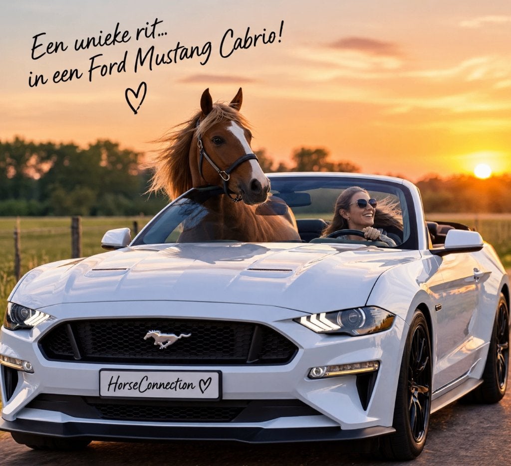 Bied mee op een unieke rit in een Ford Mustang Cabrio! ️, Chauffeursdiensten