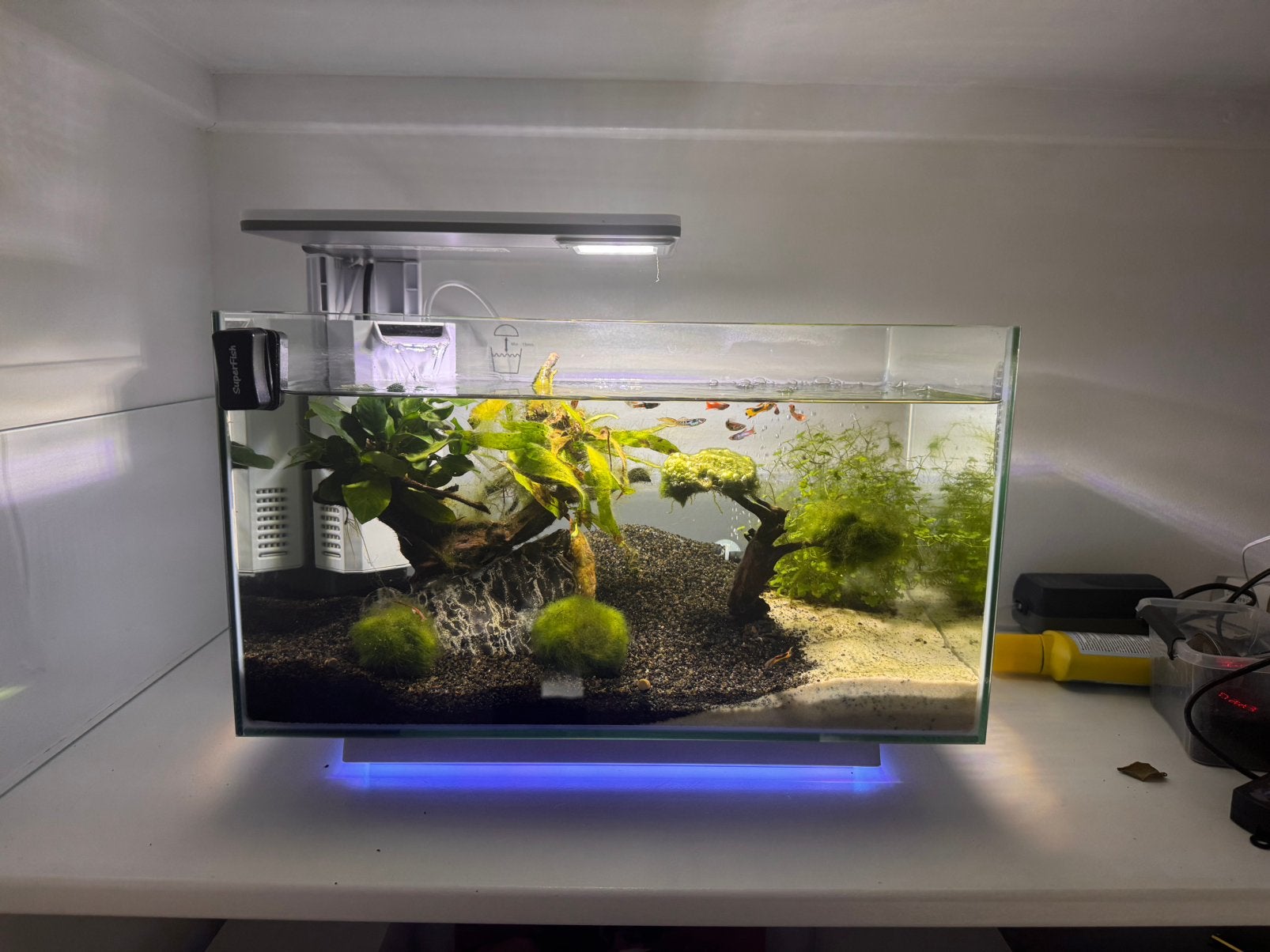 Superfish Aquarium Quadro 40 Pro, Dieren en Toebehoren, Vissen | Aquaria en Toebehoren, Ophalen, Nieuw, Leeg aquarium, Superfish