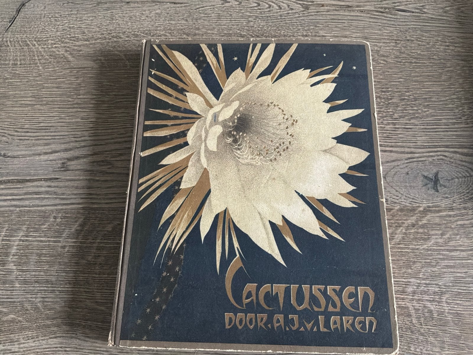 Cactussen door A.J. van Laren - Verkade Album 1931, Boeken, Ophalen of Verzenden, Gelezen, Bloemen, Planten en Bomen