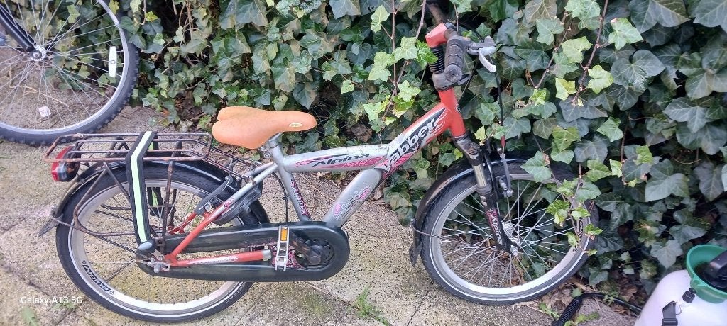 Kids Bicycle. Alpina., Ophalen, Gebruikt, Velgrem, Alpina