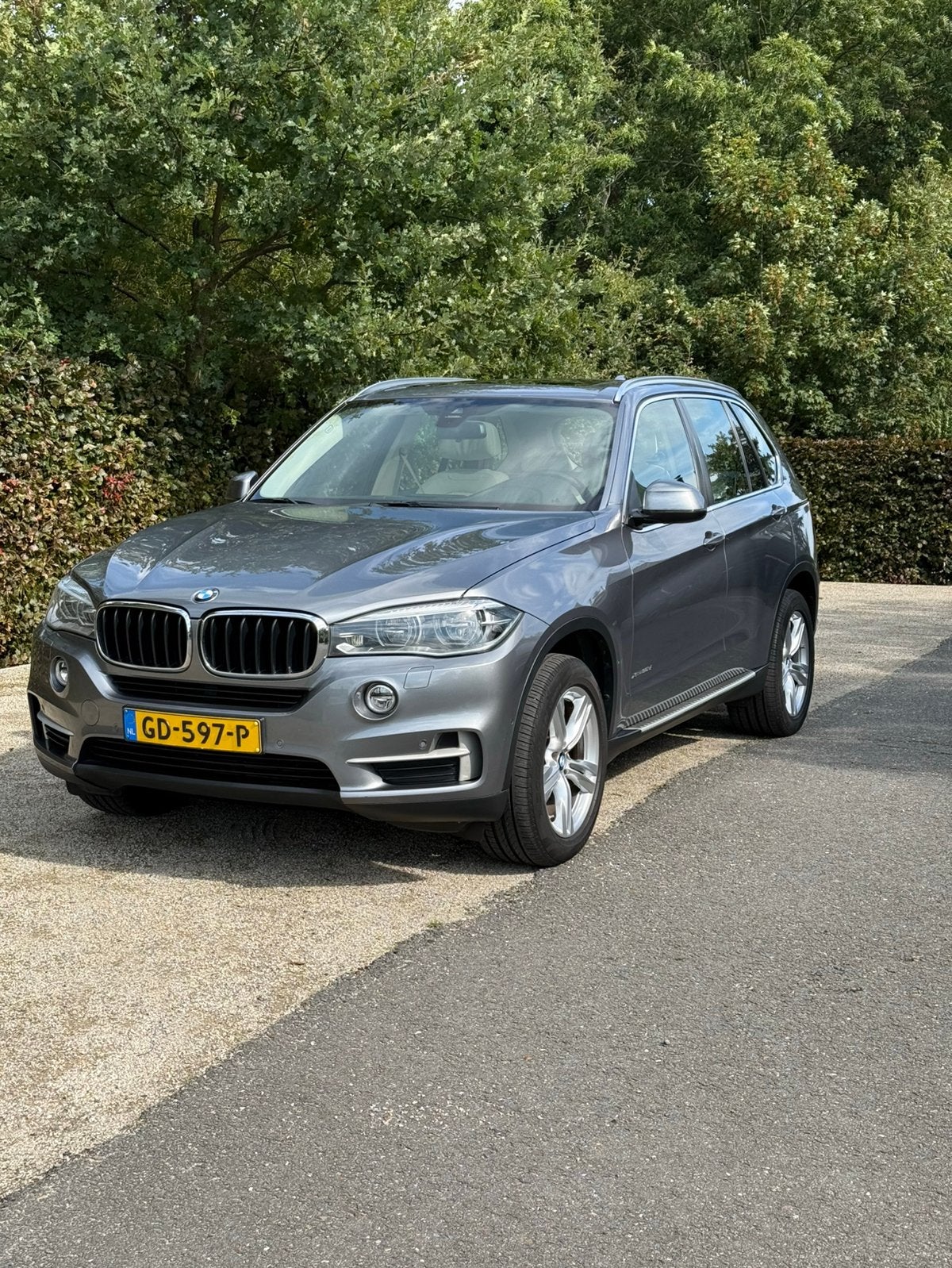 BMW X5 Xdrive 30D Aut8 (2014) 2015 Grijs, Auto's, Automaat, X5, 2993 cc, Lichtsensor