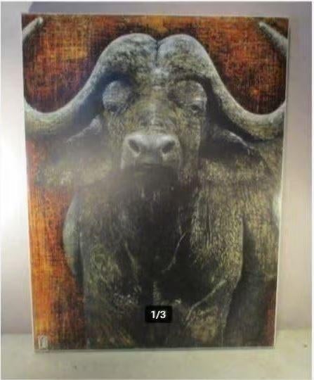 Prachtige Artprint 'De Buffel' - Gesigneerd - 80x60, Minder dan 50 cm, Oorspronkelijke maker, Ophalen of Verzenden, Minder dan 50 cm