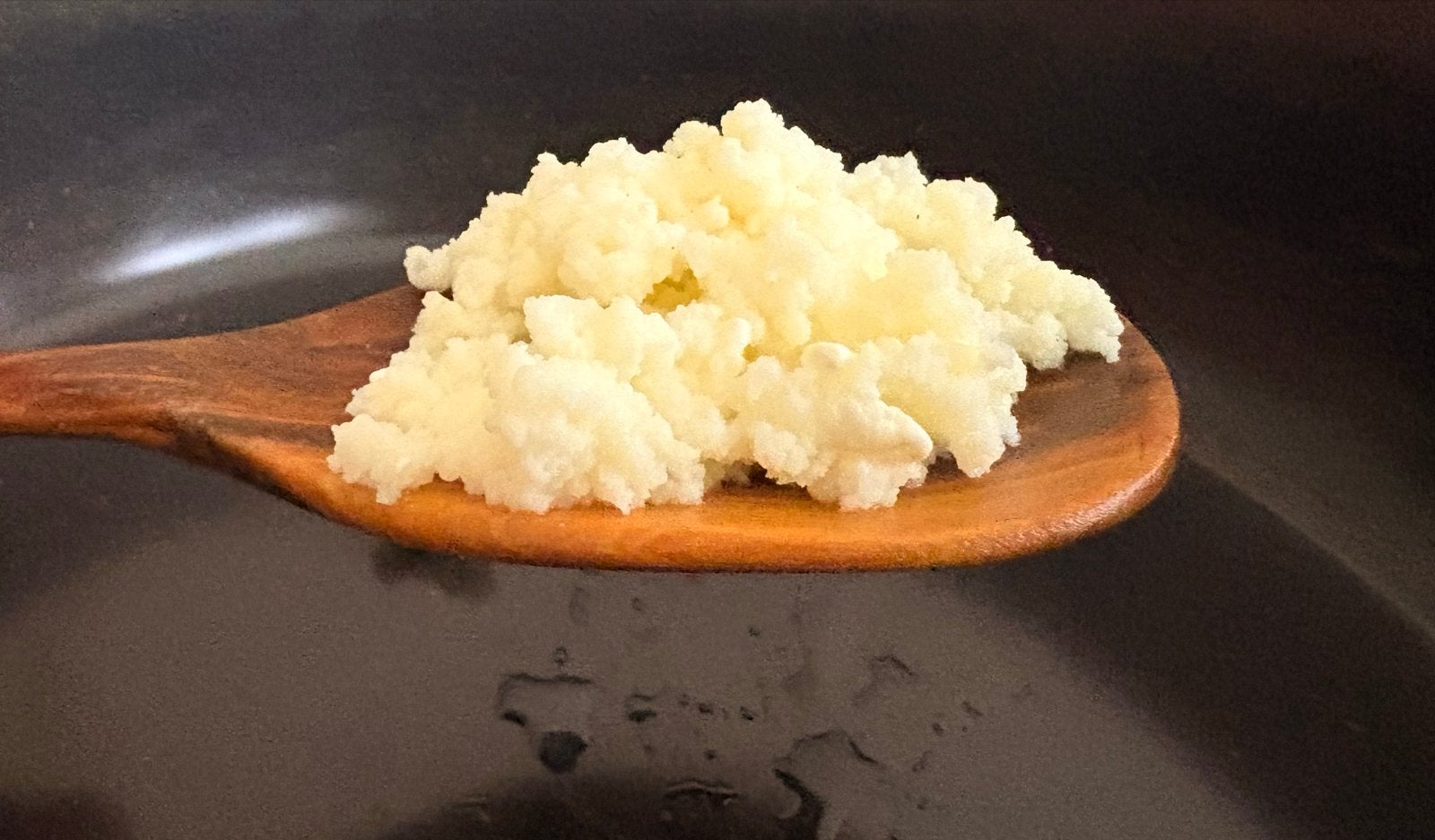 Melkkefir korrels - yoghurtplantje, Ophalen
