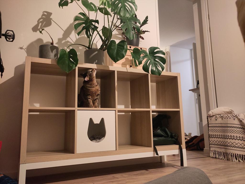 IKEA Kallax Kast Eiken Effect met Wit Onderstel 147x94cm, Huis en Inrichting, Ophalen, Met plank(en), Gebruikt, 100 tot 150 cm
