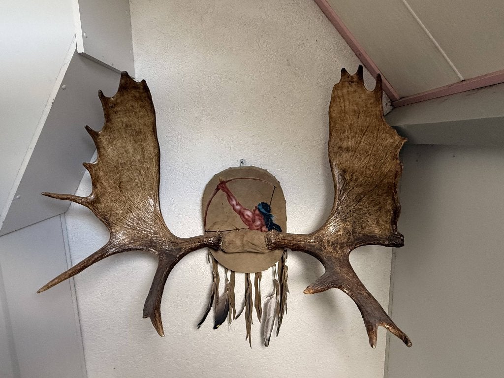 Groot elandgewei met indianenafbeelding - Moose Antlers, Ophalen, Zo goed als nieuw, Wild dier, Gewei of Kop
