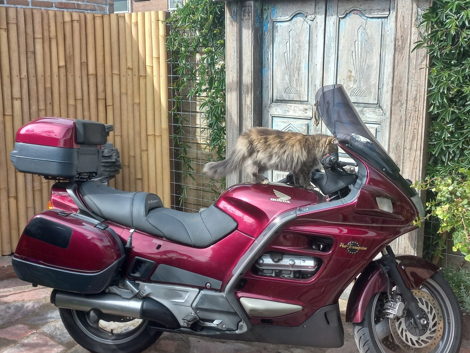 honda pan european 1100, Particulier, Toermotor