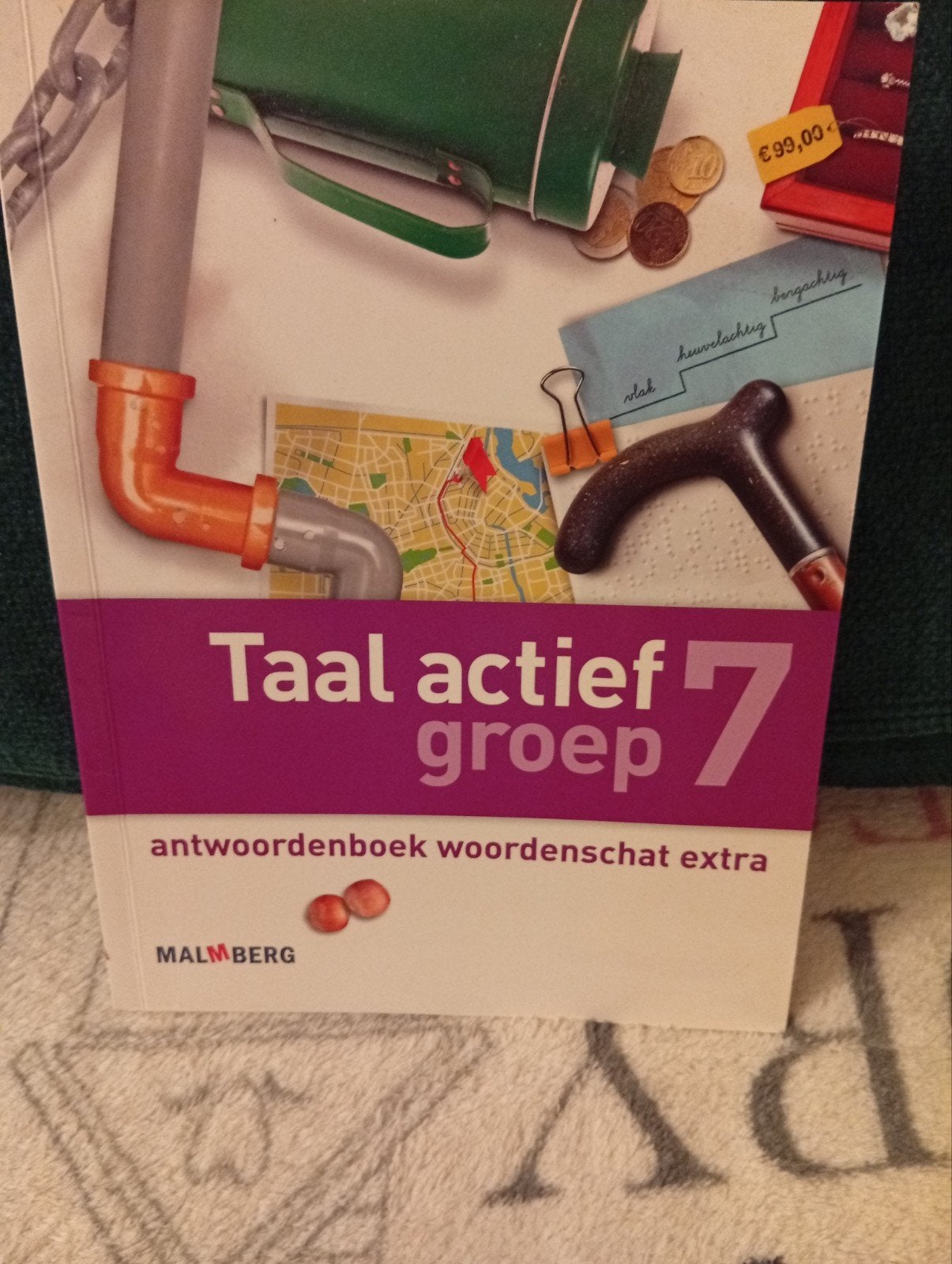 Taal actief groep 7 antwoordenboek woordenschat extra, Ophalen of Verzenden, Nieuw, Overige niveaus, Nederlands