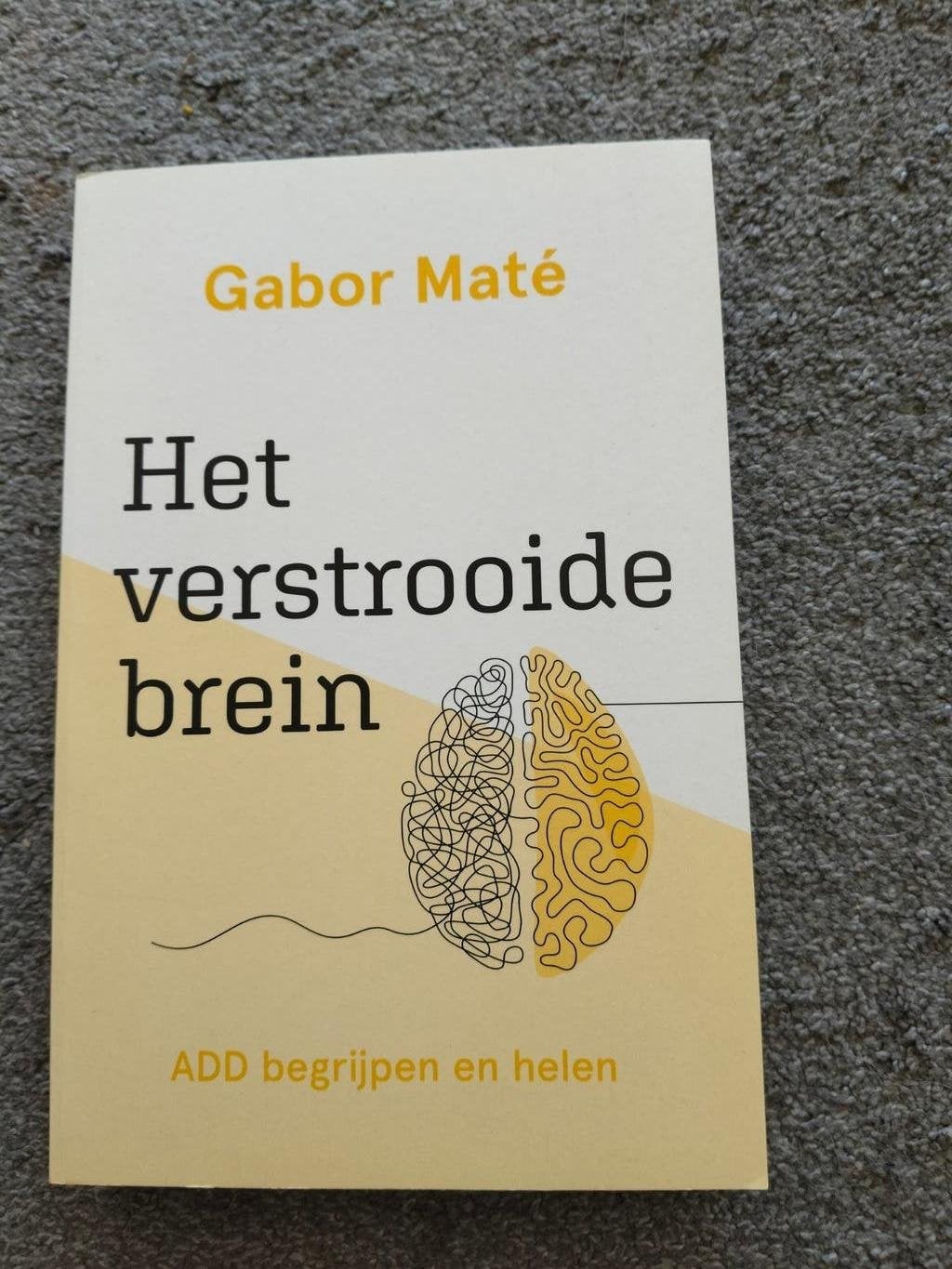Het Verstrooide Brein - Gabor Maté (ADD begrijpen en helen), Boeken, Ophalen of Verzenden, Zo goed als nieuw, Gabor Maté