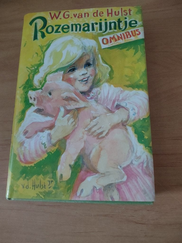 Rozemarijntje omnibus- WG van de Hulst, Ophalen of Verzenden, Gelezen, Fictie algemeen