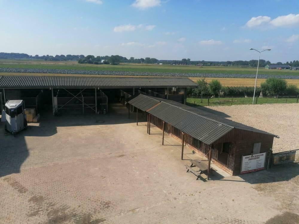 Stallen te huur per 1 juli, Weidegang, 4 paarden of pony's of meer, Kivitsa@xs4all.nl