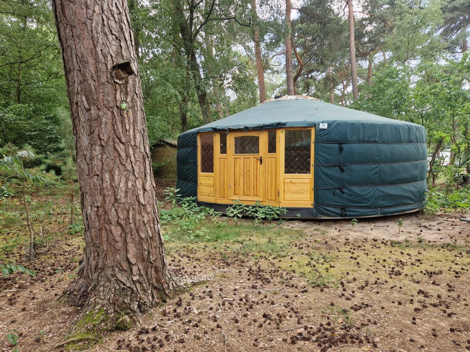Nieuwe Yurt met een (huur) jaarplaats, Ophalen, Nieuw, Tot en met 2