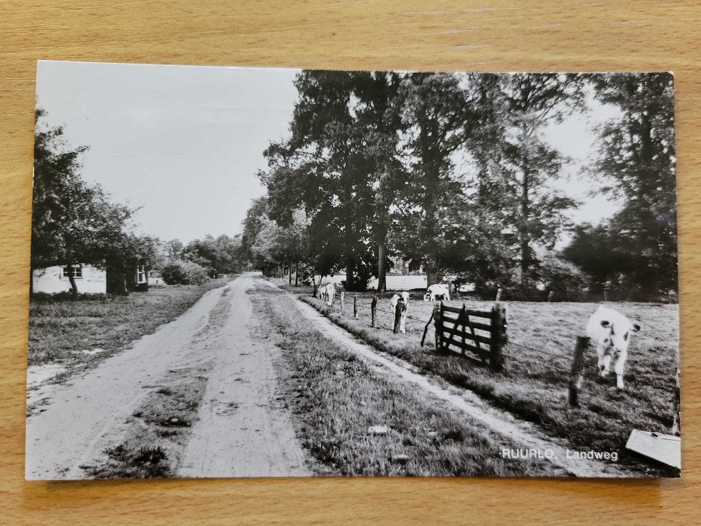 ansicht RUURLO Landweg, Verzamelen, Ansichtkaarten | Nederland, Ophalen of Verzenden, Voor 1920, Drenthe