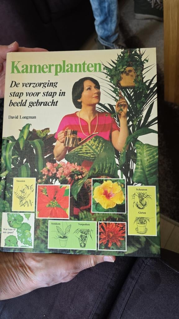 Ik zoek dit boek Kamerplanten: De verzorging, Ophalen of Verzenden, Gelezen, David Longman, Kamerplanten